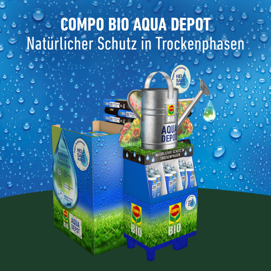 salat baquieu saatgut Kopfsalat Baquieu Samen kaufen | winterhart & robust