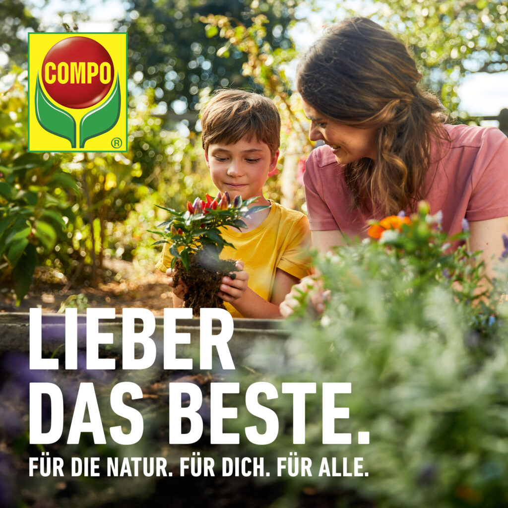 künstliche nägel rosa Echter Gel-Look: Valentinstag Nägel rosa kleben main image 0