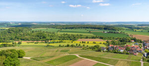 Weitläufige Landschaft mit grünen Feldern, gelben Rapsflächen und kleinen Waldstücken. Im Vordergrund sind geordnete Weinberge und ein Dorf mit roten Dächern zu sehen. Der Horizont zeigt sanfte Hügel unter einem klaren blauen Himmel mit wenigen Wolken.