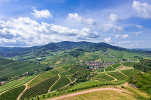 Panoramablick auf grüne Weinberge in sanft geschwungenen Hügeln mit einem Dorf in der Mitte. Die Landschaft ist von kurvigen Wegen durchzogen, dahinter bewaldete Hügel und ein blauer Himmel mit weißen Wolken.