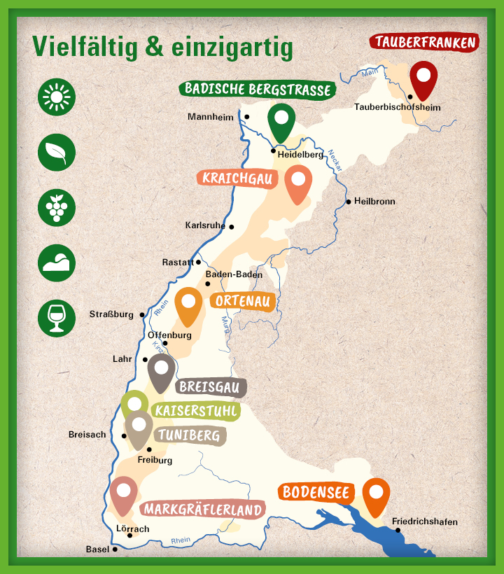 Illustrative Karte der badischen Weinregionen in Süddeutschland mit farblich markierten Gebieten wie Tauberfranken, Badische Bergstraße, Kraichgau, Ortenau, Breisgau, Kaiserstuhl, Tuniberg, Markgräflerland und Bodensee. Die Karte zeigt Städte wie Mannheim, Heidelberg, Karlsruhe, Freiburg und Friedrichshafen sowie Symbole für Sonne, Trauben und Wein.